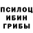 Псилоцибиновые грибы Psilocybe N1yami So2