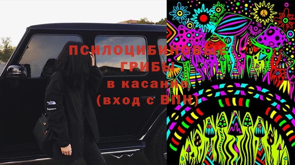 ПСИЛОЦИБИНОВЫЕ ГРИБЫ Россошь