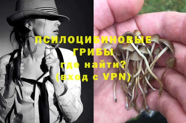 спиды Алексеевка