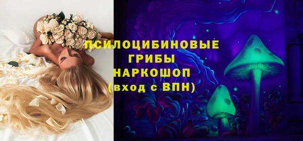 ПСИЛОЦИБИНОВЫЕ ГРИБЫ Россошь