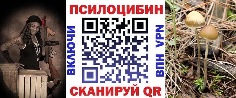 Галлюциногенные грибы мицелий  цены   Солигалич 